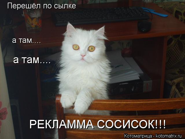 Котоматрица: Перешёл по сылке  а там.... а там.... РЕКЛАММА СОСИСОК!!!