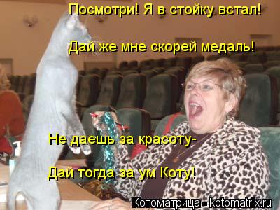 Котоматрица: Посмотри! Я в стойку встал! Дай же мне скорей медаль! Дай тогда за ум Коту! Не даешь за красоту-