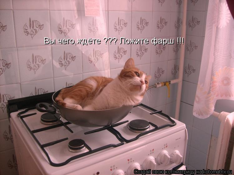 Котоматрица: Вы чего,ждёте ??? Ложите фарш !!!