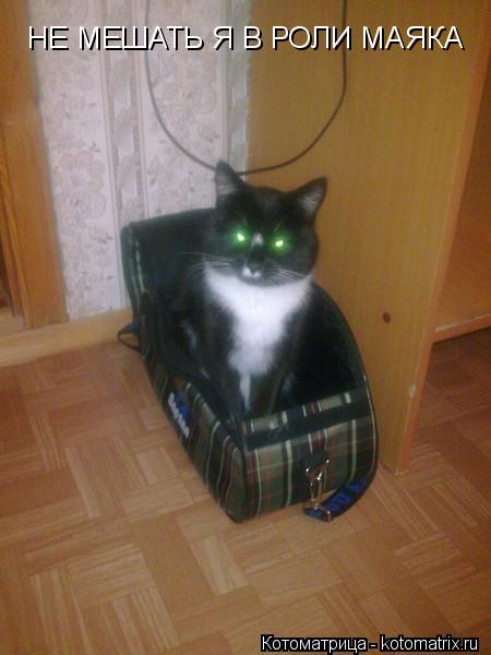 НЕ МЕШАТЬ Я В РОЛИ МАЯКА... Котоматрица: НЕ МЕШАТЬ Я В РОЛИ МАЯКА