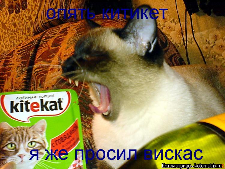 Котоматрица: опять китикет  я же просил вискас
