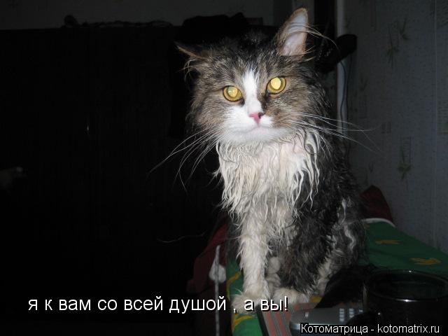 Котоматрица: я к вам со всей душой , а вы!