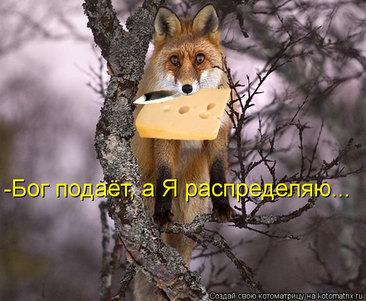 Котоматрица: -Бог подаёт, а Я распределяю...