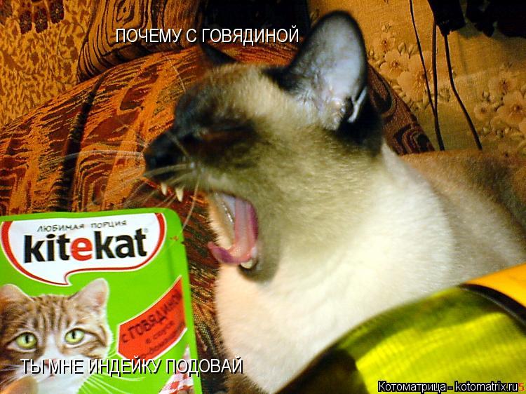 Котоматрица: ПОЧЕМУ С ГОВЯДИНОЙ  ТЫ МНЕ ИНДЕЙКУ ПОДОВАЙ ТЫ МНЕ ИНДЕЙКУ ПОДОВАЙ