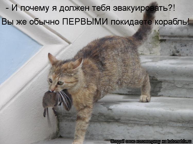 - И почему я должен тебя эвакуировать?! Вы же обычно ПЕРВЫМИ покидаете корабль!... Котоматрица: - И почему я должен тебя эвакуировать?! Вы же обычно ПЕРВЫМИ покидаете корабль!