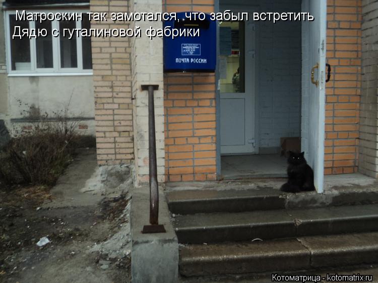 Котоматрица: Матроскин так замотался, что забыл встретить  Дядю с гуталиновой фабрики