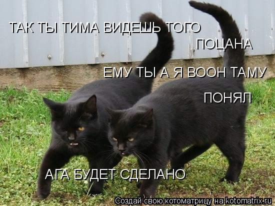 Котоматрица: ТАК ТЫ ТИМА ВИДЕШЬ ТОГО  ПОЦАНА ЕМУ ТЫ А Я ВООН ТАМУ ПОНЯЛ АГА БУДЕТ СДЕЛАНО