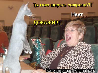 ДОКАЖИ!!! Неет... Ты мою шерсть сожрала?!!... Котоматрица: ДОКАЖИ!!! Неет... Ты мою шерсть сожрала?!!