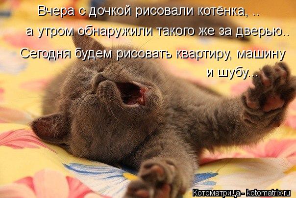 Котоматрица: Вчера с дочкой рисовали котёнка, ..  а утром обнаружили такого же за дверью.. Сегодня будем рисовать квартиру, машину  и шубу...