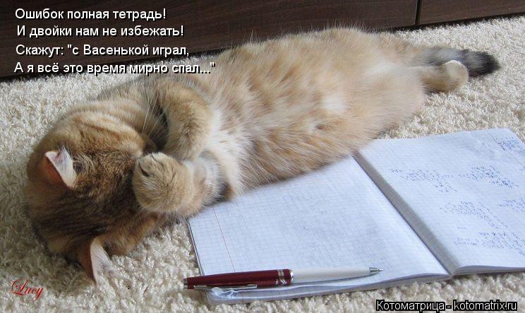 Котоматрица: Ошибок полная тетрадь! И двойки нам не избежать! Скажут: "с Васенькой играл, А я всё это время мирно спал..."