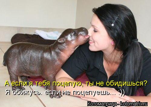 Котоматрица: А если я тебя поцелую, ты не обидишься? Я обижусь. если не поцелуешь... :))