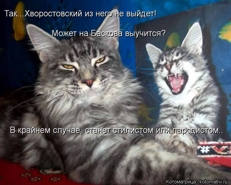 Котоматрица: Так...Хворостовский из него не выйдет! Может на Баскова выучится? В крайнем случае, станет стилистом или пародистом..