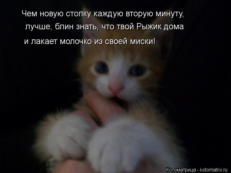 Котоматрица: Чем новую стопку каждую вторую минуту, лучше, блин знать, что твой Рыжик дома и лакает молочко из своей миски!