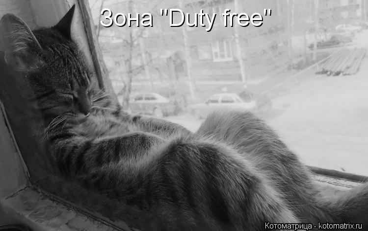 Котоматрица: Зона "Duty free"