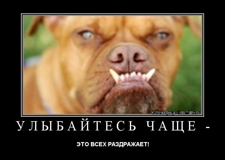 Котоматрица: УЛЫБАЙТЕСЬ ЧАЩЕ -  ЭТО ВСЕХ РАЗДРАЖАЕТ!