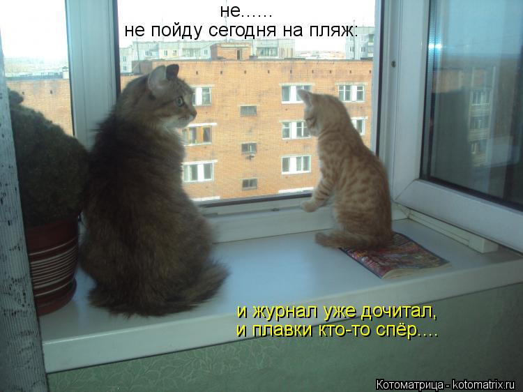 не пойду сегодня на пляж: не...... и журнал уже дочитал, и плавки кто-то спёр....... Котоматрица: не пойду сегодня на пляж: не...... и журнал уже дочитал, и плавки кто-то спёр....