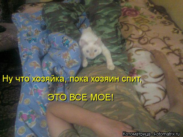 Ну что хозяйка, пока хозяин спит, ЭТО ВСЕ МОЕ!... Котоматрица: Ну что хозяйка, пока хозяин спит, ЭТО ВСЕ МОЕ!