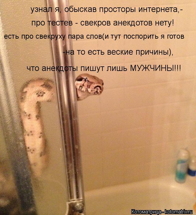 узнал я, обыскав просторы интернета,- про тестев - свекров анекдотов нету! есть про свекруху пара сло... Котоматрица: узнал я, обыскав просторы интернета,- про тестев - свекров анекдотов нету! есть про свекруху пара слов(и тут поспорить я готов -на то есть вес