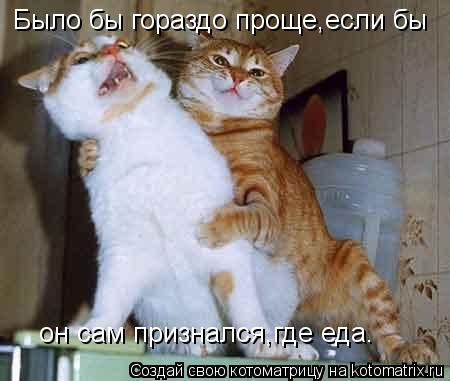 Было бы гораздо проще,если бы он сам признался,где еда.... Котоматрица: Было бы гораздо проще,если бы он сам признался,где еда.