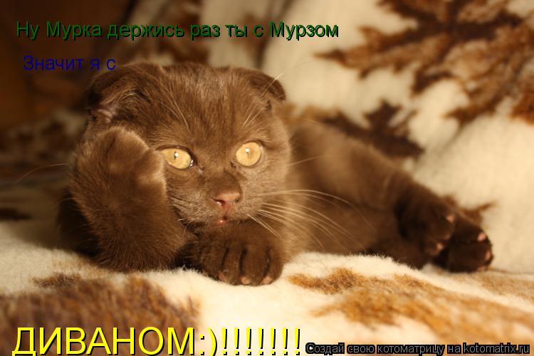 Ну Мурка держись раз ты с Мурзом Значит я с ДИВАНОМ:)!!!!!!!... Котоматрица: Ну Мурка держись раз ты с Мурзом Значит я с ДИВАНОМ:)!!!!!!!