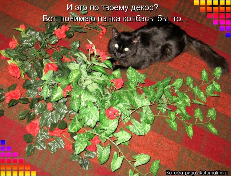 И это по твоему декор? Вот, понимаю палка колбасы бы, то...... Котоматрица: И это по твоему декор? Вот, понимаю палка колбасы бы, то...