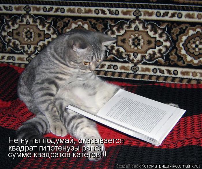 Котоматрица: Не ну ты подумай, оказывается  квадрат гипотенузы равен  сумме квадратов катетов!!!...