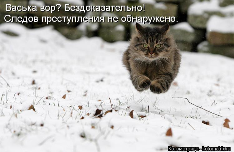Васька вор? Бездоказательно! Следов преступления не обнаружено.... Котоматрица: Васька вор? Бездоказательно! Следов преступления не обнаружено.