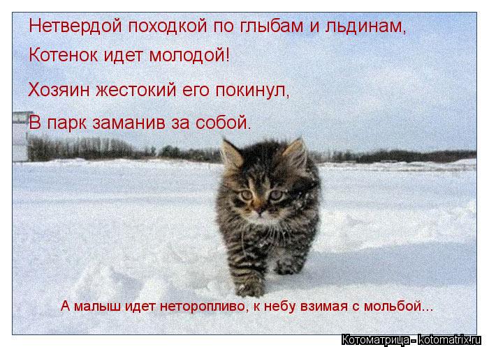 Котоматрица: Нетвердой походкой по глыбам и льдинам, Котенок идет молодой! Хозяин жестокий его покинул, В парк заманив за собой. А малыш идет неторопливо