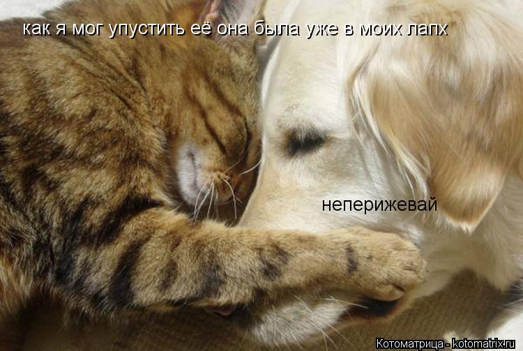 как я мог упустить её она была уже в моих лапх неперижевай... Котоматрица: как я мог упустить её она была уже в моих лапх неперижевай