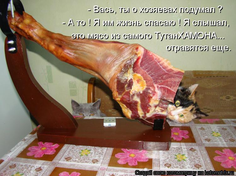 Котоматрица: - Вась, ты о хозяевах подумал ? - А то ! Я им жизнь спасаю ! Я слышал, это мясо из самого ТутанХАМОНА... отравятся еще.