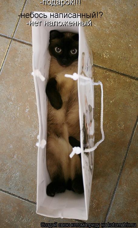 -подарок!!! -небось написанный!? -нет наложенный... Котоматрица: -подарок!!! -небось написанный!? -нет наложенный