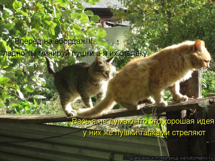 Котоматрица: Вперёд на абордаж!!! Вась я не думаю что это хорошая идея, у них же пушки тапками стреляют ладно ты минируй пушки,а я их отвлеку