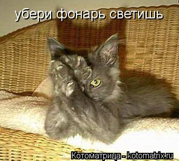 Котоматрица: убери фонарь светишь