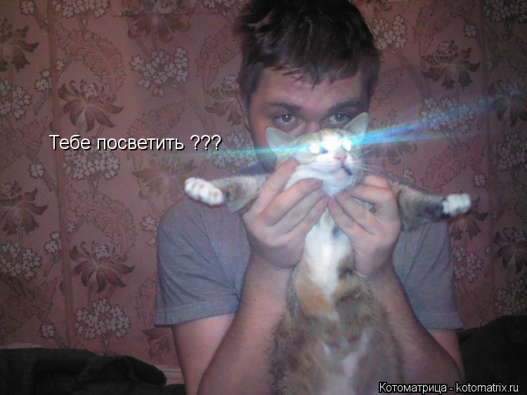 Котоматрица: Тебе посветить ???