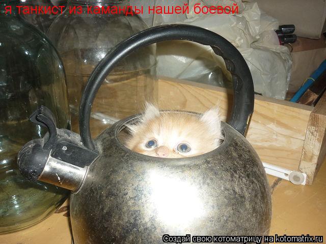 Котоматрица: я танкист из каманды нашей боевой