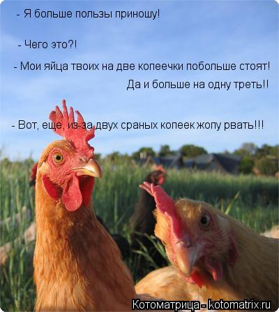 Котоматрица: - Я больше пользы приношу! - Чего это?! - Мои яйца твоих на две копеечки побольше стоят! Да и больше на одну треть!! - Вот, еще, из-за двух сраных к