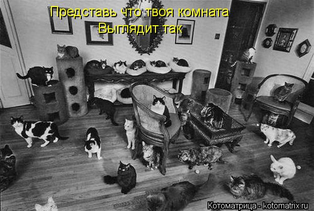 Котоматрица: Представь что твоя комната Выглядит так
