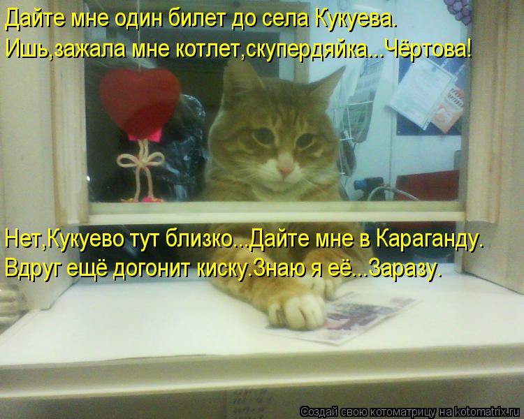 Дайте мне один билет до села Кукуева. Ишь,зажала мне котлет,скупердяйка...Чёртова! Нет,Кукуево тут бл... Котоматрица: Дайте мне один билет до села Кукуева. Ишь,зажала мне котлет,скупердяйка...Чёртова! Нет,Кукуево тут близко...Дайте мне в Караганду. Вдруг ещё д
