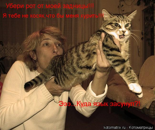 Убери рот от моей задницы!!! Я тебе не косяк,что бы меня курить!!! Эээ...Куда язык засунул?!... Котоматрица: Убери рот от моей задницы!!! Я тебе не косяк,что бы меня курить!!! Эээ...Куда язык засунул?!