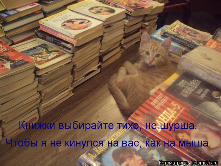 Книжки выбирайте тихо, не шурша. Чтобы я не кинулся на вас, как на мыша.... Котоматрица: Книжки выбирайте тихо, не шурша. Чтобы я не кинулся на вас, как на мыша.