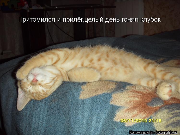 Притомился и прилёг,целый день гонял клубок... Котоматрица: Притомился и прилёг,целый день гонял клубок