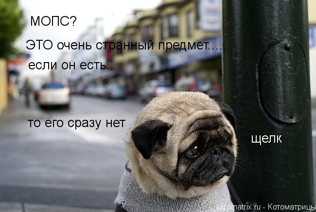 Котоматрица: МОПС? ЭТО очень странный предмет..... если он есть..  то его сразу нет щелк