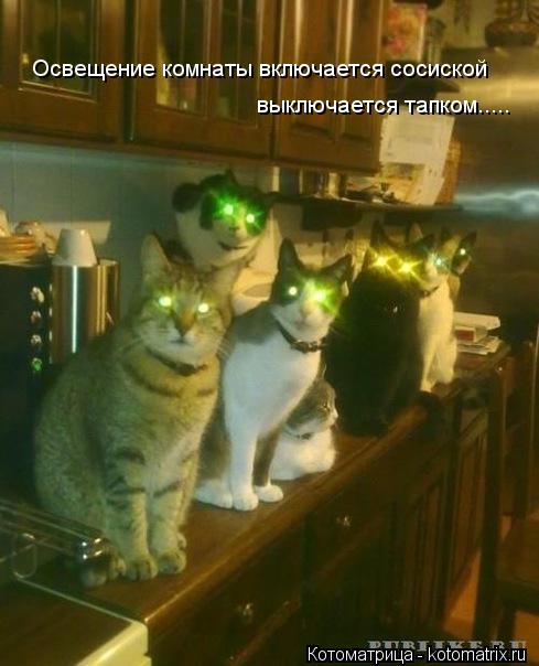 Освещение комнаты включается сосиской выключается тапком........ Котоматрица: Освещение комнаты включается сосиской выключается тапком.....