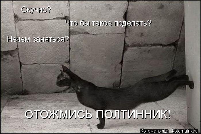 Нечем заняться? Скучно? Что бы такое поделать? ОТОЖМИСЬ ПОЛТИННИК!... Котоматрица: Нечем заняться? Скучно? Что бы такое поделать? ОТОЖМИСЬ ПОЛТИННИК!