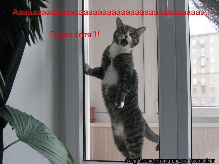 Ааааааааааааааааааааааааааааааааааааааааа... Голая тётя!!!... Котоматрица: Ааааааааааааааааааааааааааааааааааааааааа... Голая тётя!!!