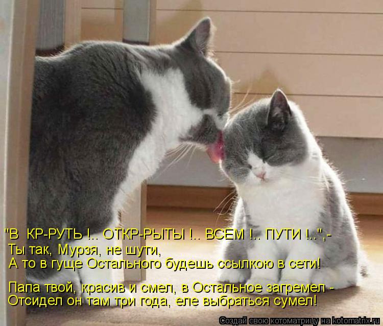 Ты так, Мурзя, не шути, А то в гуще Остального будешь ссылкою в сети! Папа твой, красив и смел, в Ост... Котоматрица: Ты так, Мурзя, не шути, А то в гуще Остального будешь ссылкою в сети! Папа твой, красив и смел, в Остальное загремел - Отсидел он там три года, е