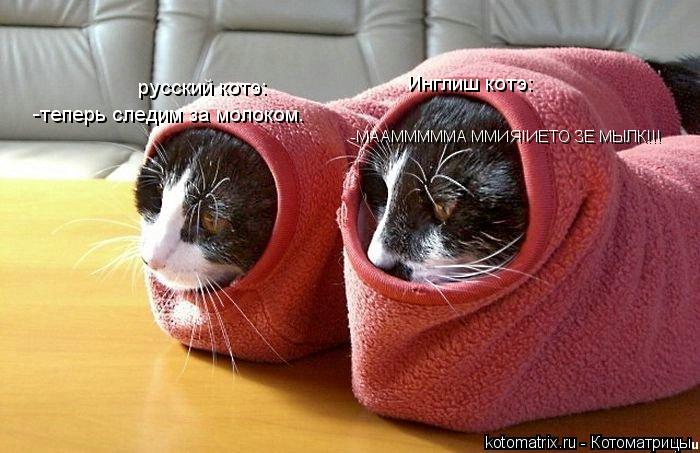 -теперь следим за молоком. русский котэ: Инглиш котэ: -МААМММММА ММИЯ!ИЕТО ЗЕ МЫЛК!!!... Котоматрица: -теперь следим за молоком. русский котэ: Инглиш котэ: -МААМММММА ММИЯ!ИЕТО ЗЕ МЫЛК!!!
