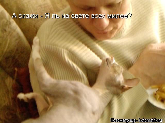 А скажи - Я ль на свете всех милее?... Котоматрица: А скажи - Я ль на свете всех милее?