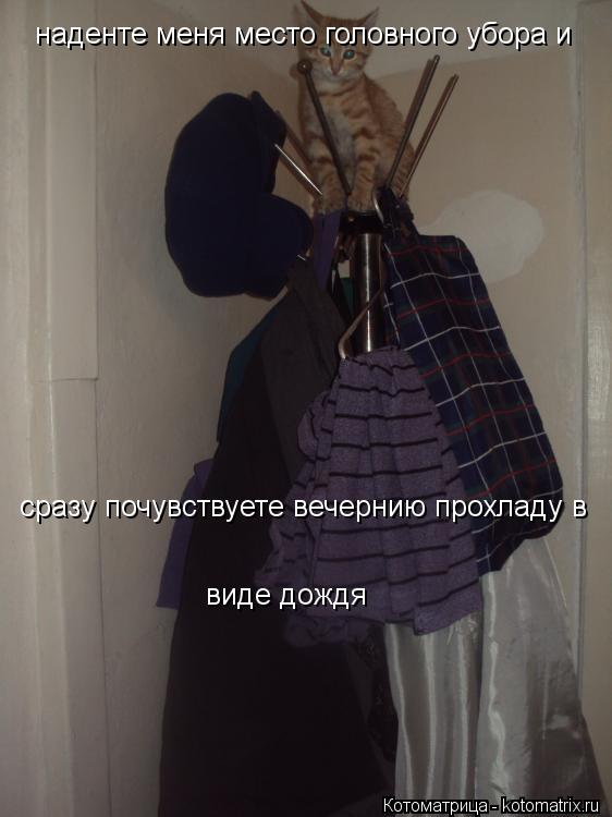 наденте меня место головного убора и сразу почувствуете вечернию прохладу в виде дождя... Котоматрица: наденте меня место головного убора и сразу почувствуете вечернию прохладу в виде дождя