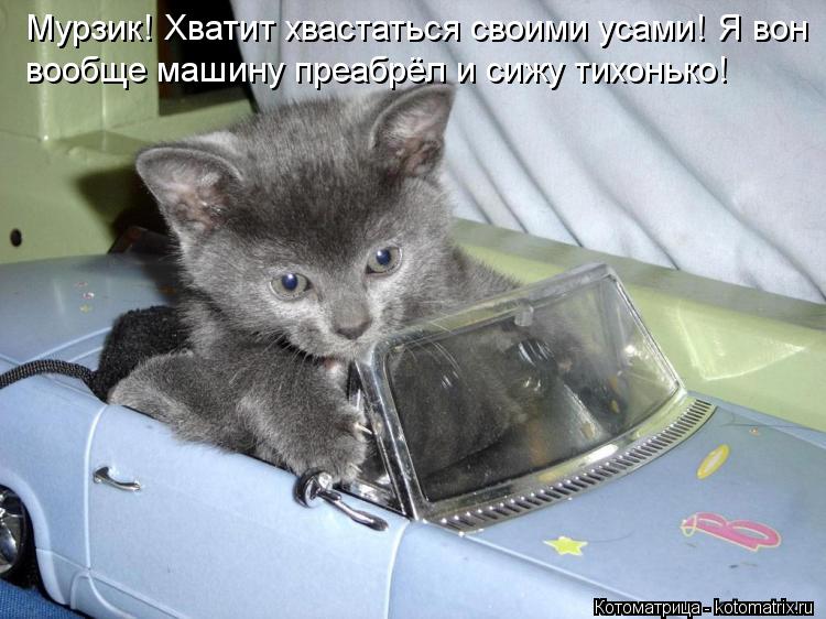 Котоматрица: Мурзик! Хватит хвастаться своими усами! Я вон вообще машину преабрёл и сижу тихонько!